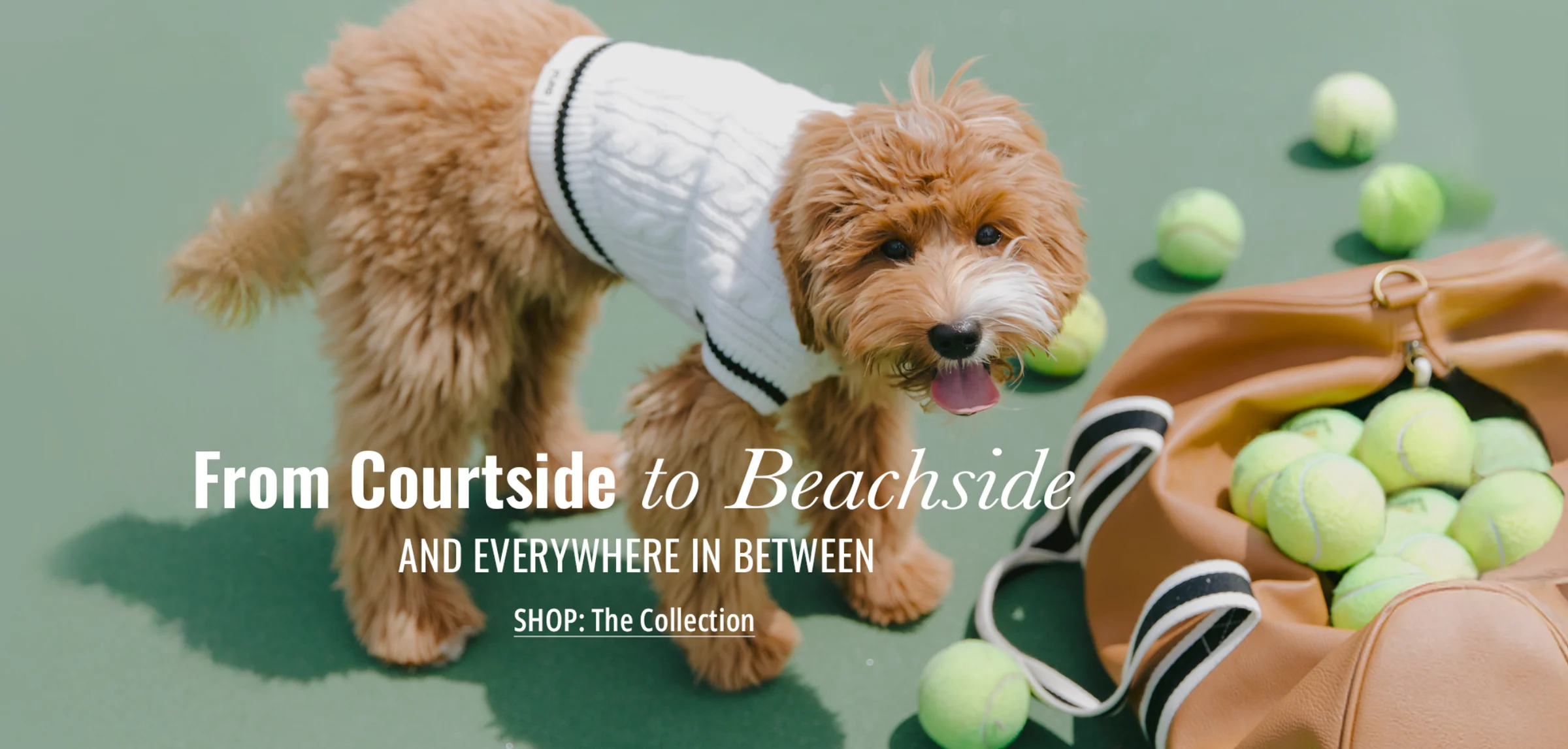 Modern Fashion for Modern Pets